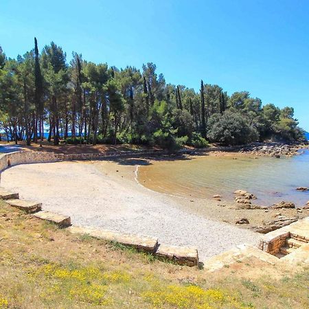 Vila Una With Private Pool Near Rovinj - Open 2022 روفينجسكو سيلو المظهر الخارجي الصورة