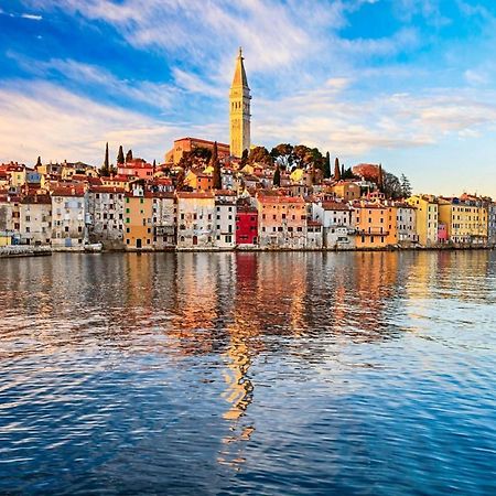Vila Una With Private Pool Near Rovinj - Open 2022 روفينجسكو سيلو المظهر الخارجي الصورة