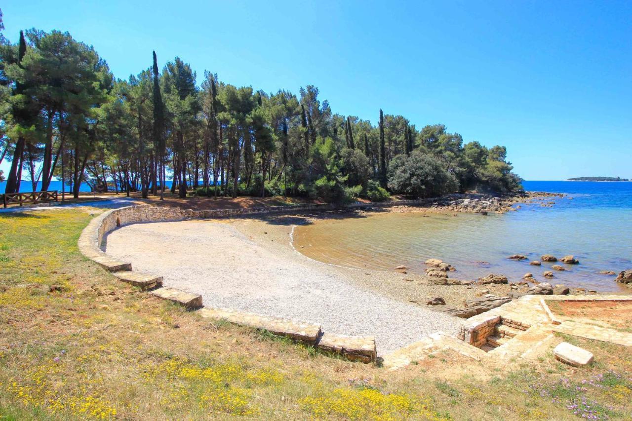 Vila Una With Private Pool Near Rovinj - Open 2022 روفينجسكو سيلو المظهر الخارجي الصورة
