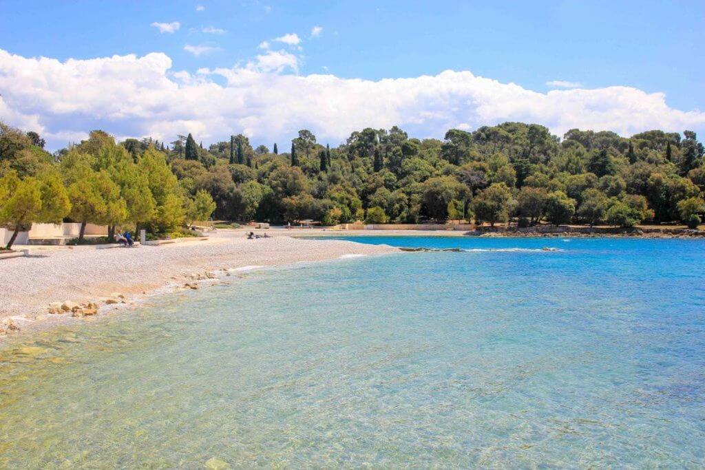 Vila Una With Private Pool Near Rovinj - Open 2022 روفينجسكو سيلو المظهر الخارجي الصورة