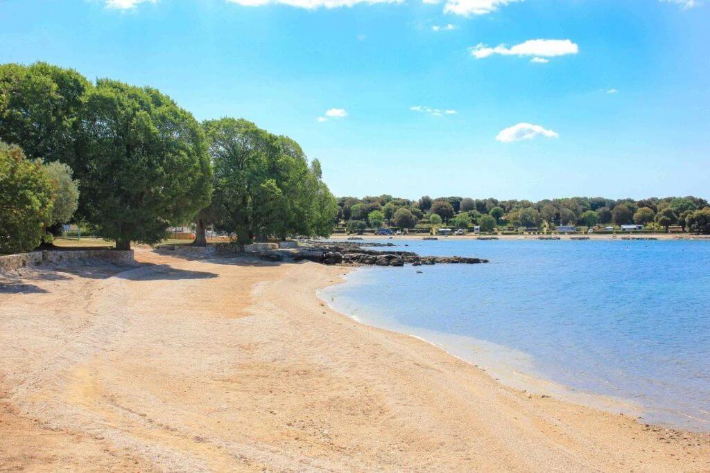 Vila Una With Private Pool Near Rovinj - Open 2022 روفينجسكو سيلو المظهر الخارجي الصورة